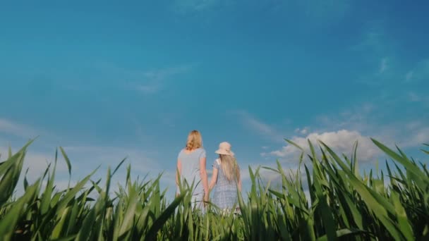 Una mujer y un niño se paran lado a lado contra el telón de fondo de un paisaje sereno — Vídeo de stock