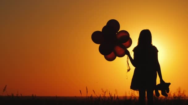 A child with balloons and a teddy bear in his hand is standing at sunset — Stock Video