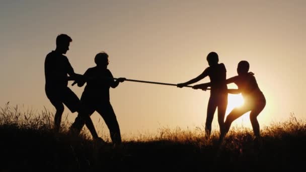 Familie heeft plezier in de natuur - het spelen van touwtrekken — Stockvideo