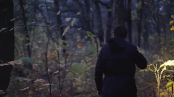 Visão traseira do homem com uma lanterna na mão caminha através de uma floresta escura. Procure por uma criança perdida — Vídeo de Stock