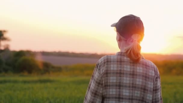 Una agricultora camina por el campo hacia el atardecer — Vídeos de Stock