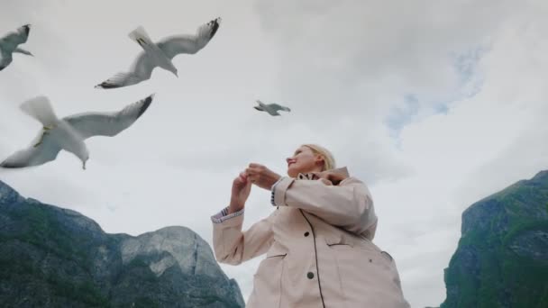 Disparo de ángulo bajo de las gaviotas están dando vueltas alrededor de la mujer que los alimenta. Sobre el telón de fondo de un hermoso paisaje en Noruega . — Vídeo de stock