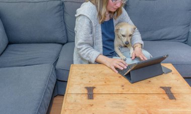 Orta yaşlı kadın evde onun evcil köpek de ekrana bakarak ile onun dizüstü bilgisayar kullanan