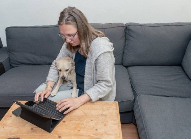 Orta yaşlı kadın evde onun evcil köpek de ekrana bakarak ile onun dizüstü bilgisayar kullanan