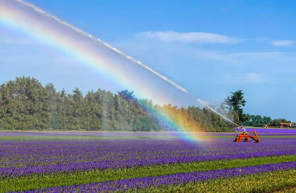 An agricultural irrigation system — Stock Photo, Image