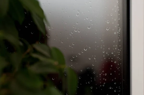 Krople deszczu na szkle — Zdjęcie stockowe