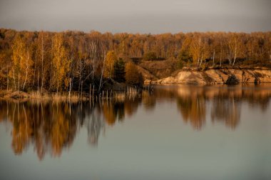 sonbahar orman arka plan üzerinde gölet