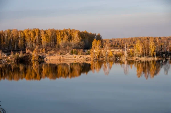 秋の森の背景に池 — ストック写真