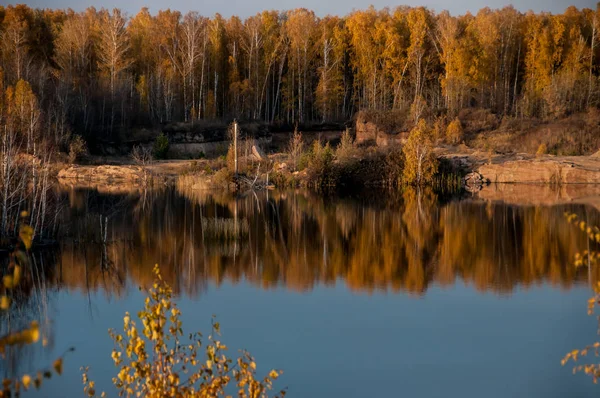 Pond on the background of autumn forest — Stock Photo, Image