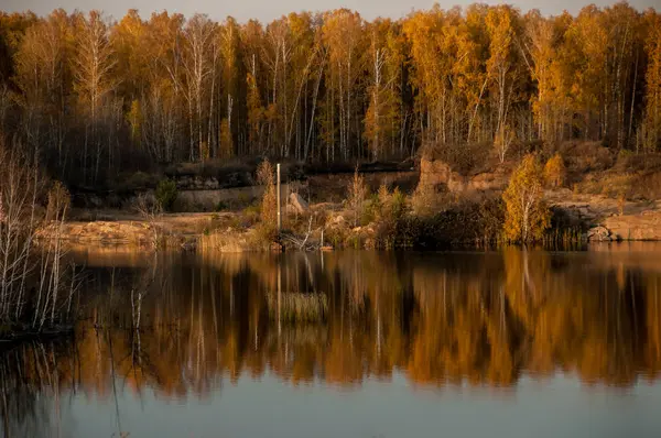 Vijver op de achtergrond van de herfst bos — Stockfoto