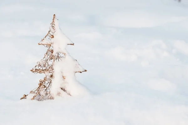 新年とクリスマスの背景画像 — ストック写真