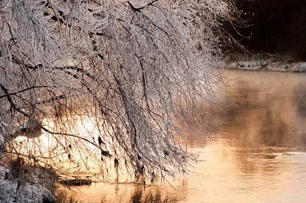 Rive de la rivière en hiver — Photo