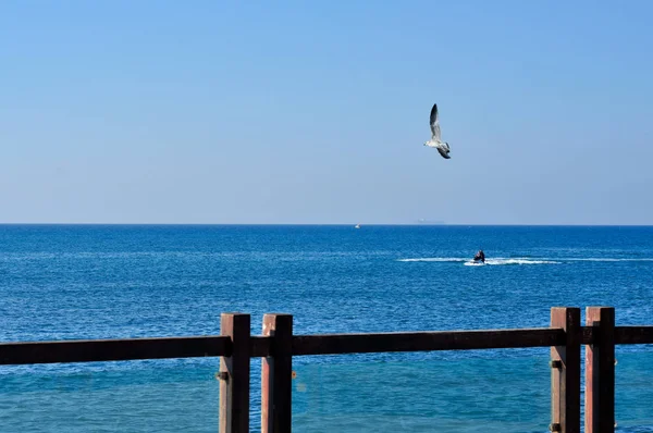 Blick auf das Meer auf einem Vogel und Motorroller — Stockfoto