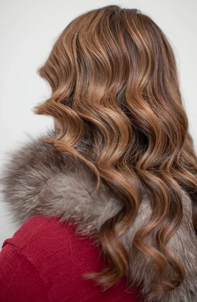 Nő elegáns frizura retro stílusú hátsó kilátás — Stock Fotó