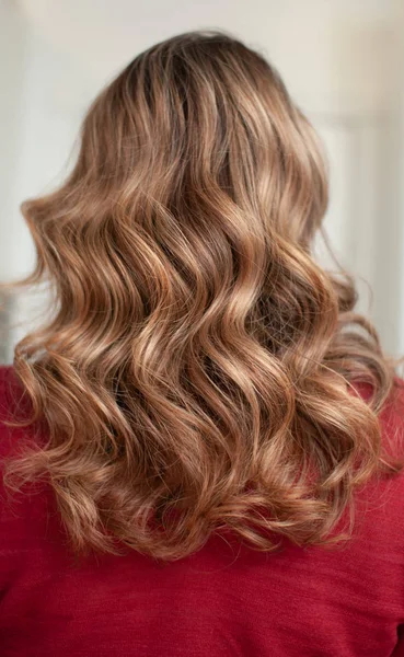 Retrato de una mujer con cabello largo y castaño ondulado —  Fotos de Stock