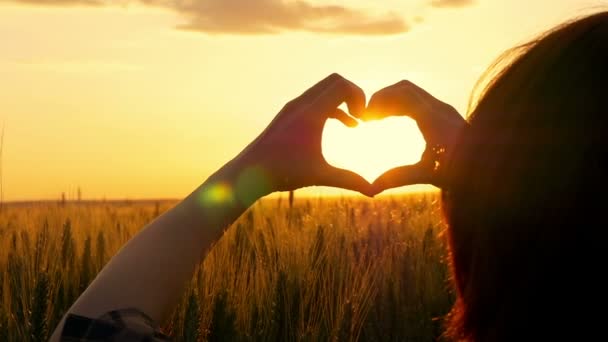 Frauenhände zeigen das Herz in der Sonne bei Sonnenuntergang in einem Weizenfeld. die Sonnenstrahlen durchdringen das Herz. Zeitlupe