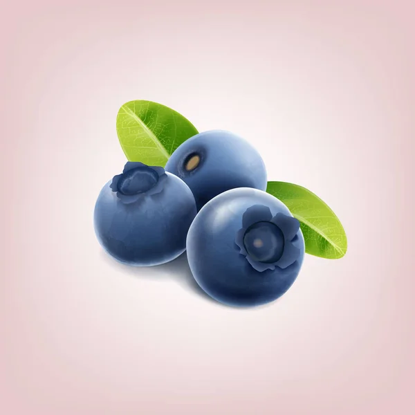 Blueberry segar dengan daun - Stok Vektor