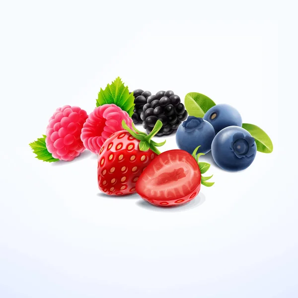 Fresh berries on white — Stock Vector
