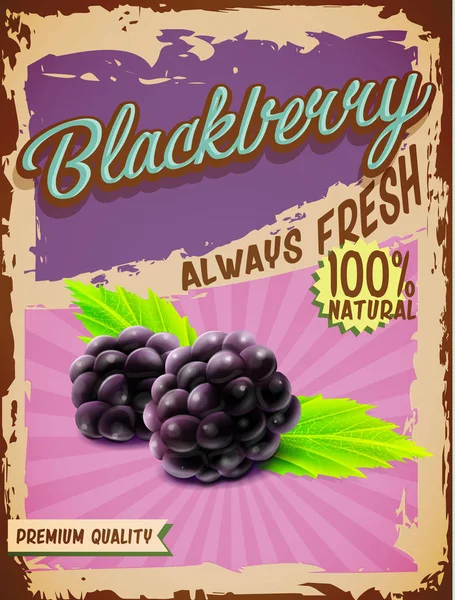 BlackBerry vintage banner — Stockvector