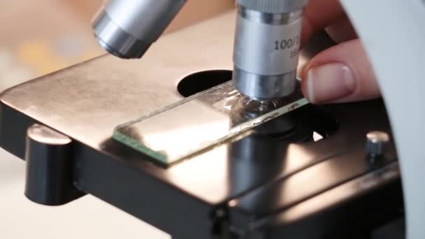 Zachte Vrouwelijke Vingers Bewegen Het Laboratoriumglas Voorzichtig Microscooptafel Werk Doen — Stockvideo