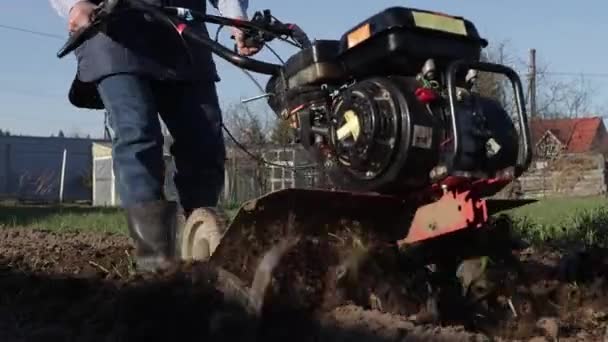 A close-up shows how a man loosens the earth using a cultivator. — Stock Video