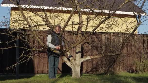 En äldre man står i full höjd vid ett trädgårdsträd. — Stockvideo