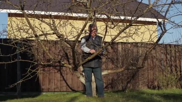 Un uomo anziano guarisce un ramo d'albero — Video Stock