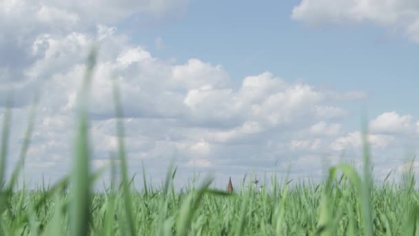 Las nubes flotan lentamente en el fondo . — Vídeos de Stock