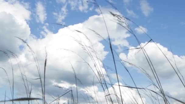 Un cielo azul con nubes se muestra estáticamente . — Vídeo de stock