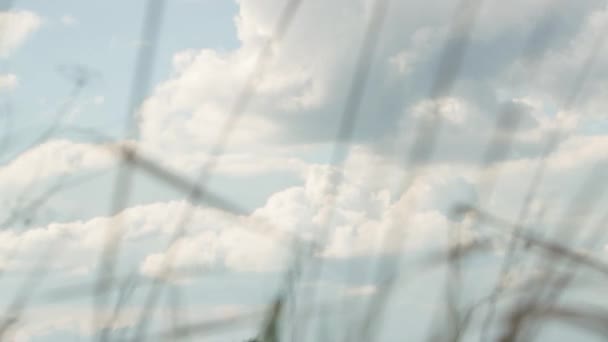 Nubes pesadas se mueven lentamente a través del cielo . — Vídeos de Stock