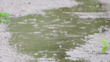 Islak havada dalgalı kenarları olan küçük bir su birikintisi.. 