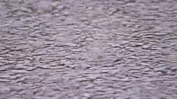 Gros plan gouttes de pluie tombant dans l'eau . — Video