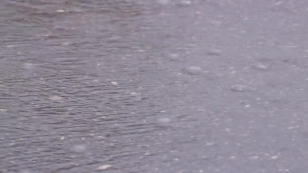 El agua fluye a lo largo del asfalto en la carretera en un arroyo rápido . — Vídeos de Stock