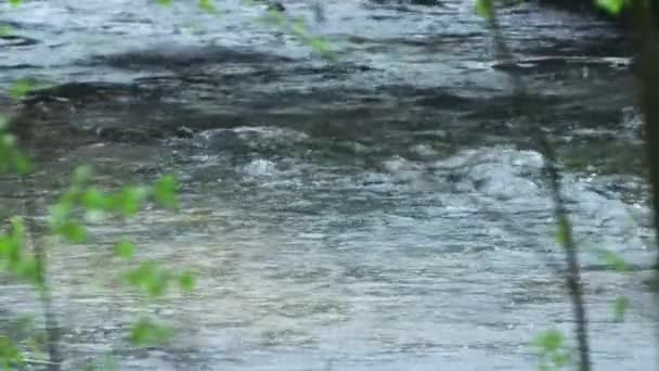 Poderoso arroyo en el lecho del río durante la lluvia . — Vídeo de stock