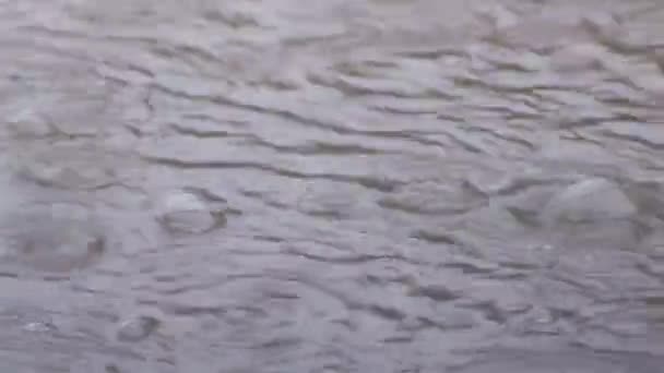 Bulles de pluie dans une flaque d'eau gros plan apparaissent et disparaissent . — Video