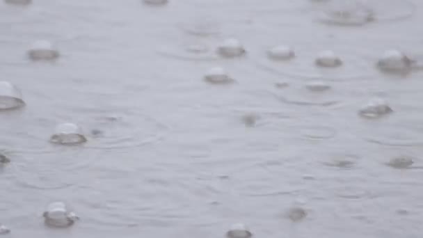 Las burbujas de lluvia flotan suavemente en la superficie de la corriente de agua . — Vídeo de stock