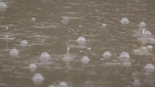 Bubbles slowly float on a dirty puddle close-up. — Stock Video