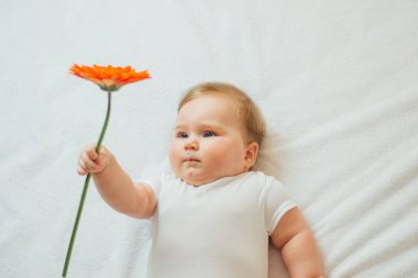 Güzel bebek beyaz çarşaflarda uzanmış elinde bir çiçek tutuyor.. 