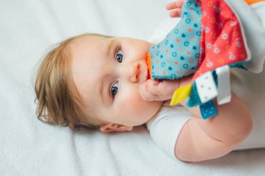 Sevimli bebek diş çıkartan bebek sakinleştirici oyuncağı ısırıyor ve çiğniyor. Beyaz arkaplan, üst görünüm.