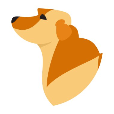 Safkan köpek baş labrador geri almak