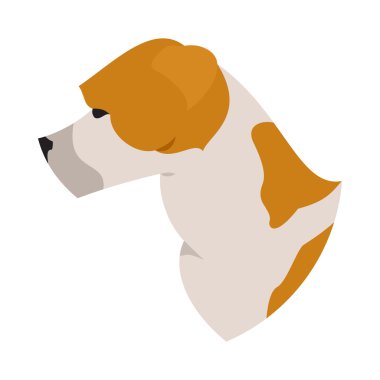 Köpek baş Amerikan staffordshire terrier