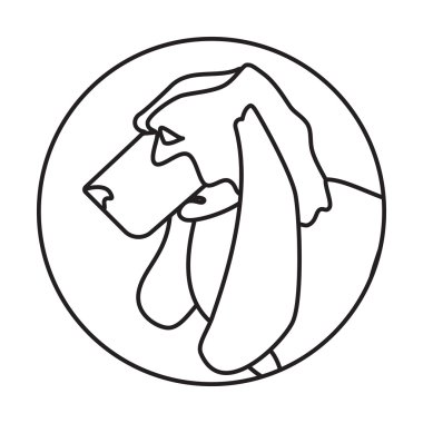 Satır baş basset köpek turda