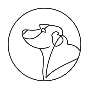 Cins köpek labrador retriever başkanı