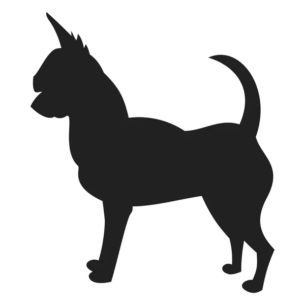 Chihuahua Black Silhouette — Stockový vektor