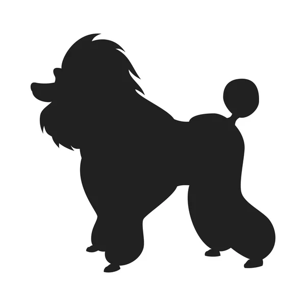 Poodle vector black silhouette — Διανυσματικό Αρχείο