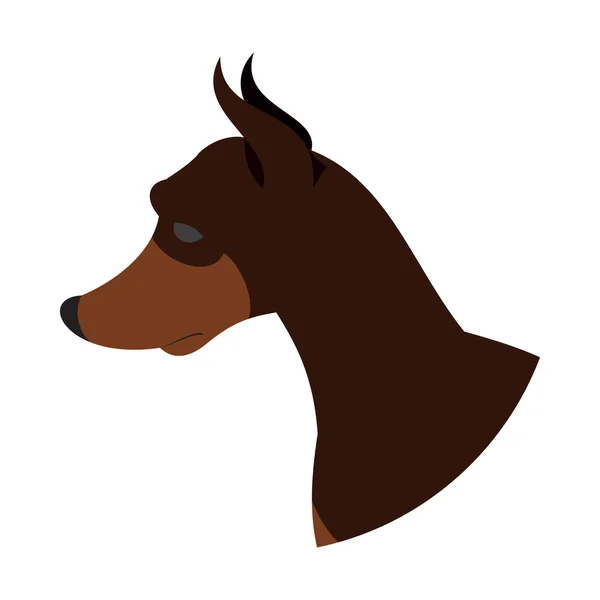 Hundekopf Dobermann Pinscher — Stockvektor