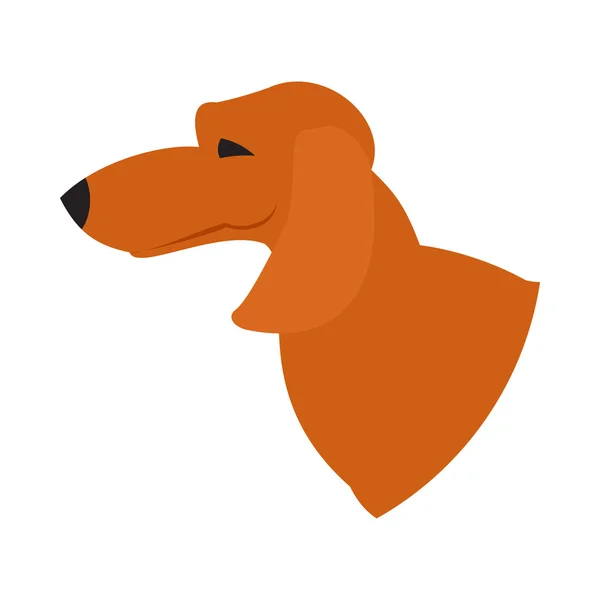 Hond hoofd Teckel — Stockvector