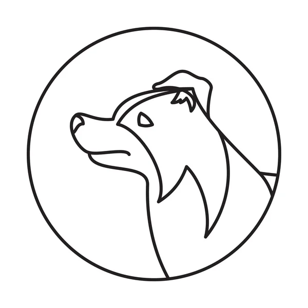 Linie Collie Border Head Hund in Runde — Stockvektor