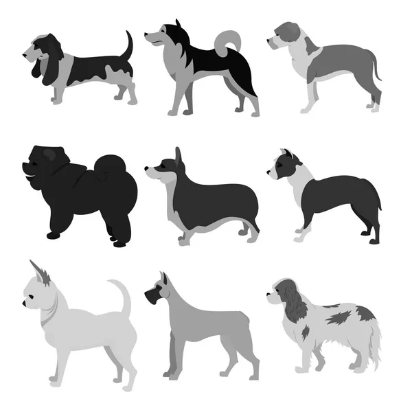 Płaski zestaw psy — Zdjęcie stockowe