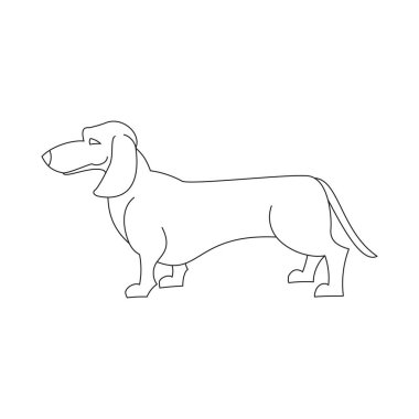 Dachshund Köpek çizgi